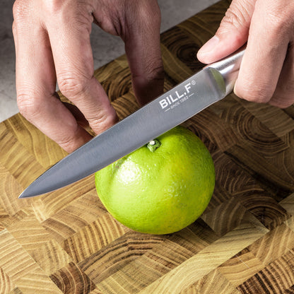 BILL.F 16 Pieces Kitchen Knife Sets with Block