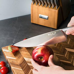 Bill.F® 16-pc German Stainless Steel Cutlery Block Set Kitchen Knife Set  with Built-in Knife Sharpener – BillF